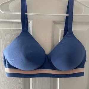 Hanes Women's Blue Bra with Cream Band